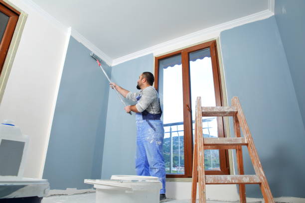 Best Touch-Up Painting  in University Of Lifornia Davis, CA